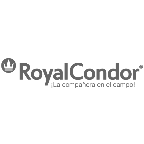 Royal Condor grises 500x500